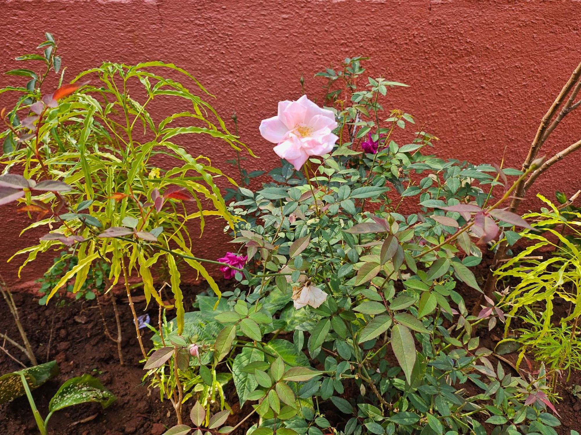 Villa Nivritti Matheran